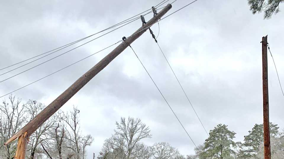 A heavy pine tree limb fell across wires and a portion of another pole, which broke this pole near Bismarck.