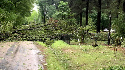 High winds in El Dorado Easter morning caused extensive damage and numerous outages. 