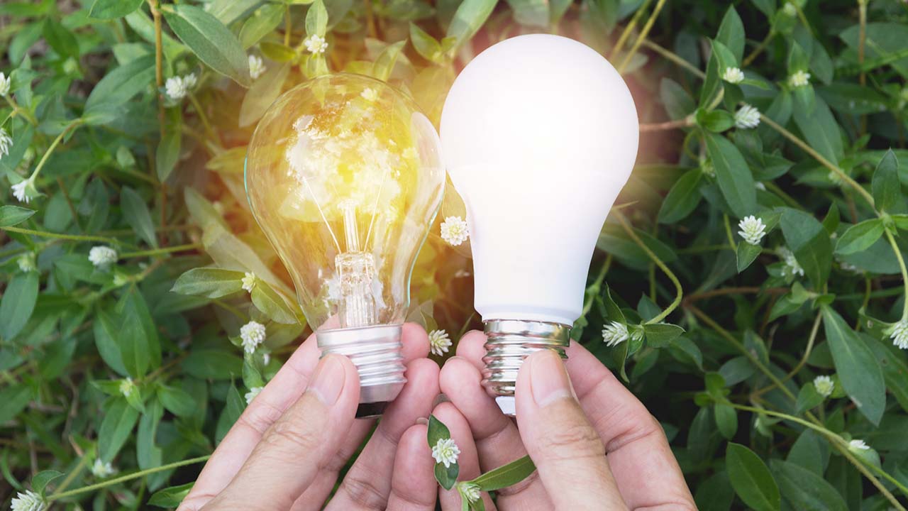 LED bulbs use 80 percent less energy than traditional incandescents.