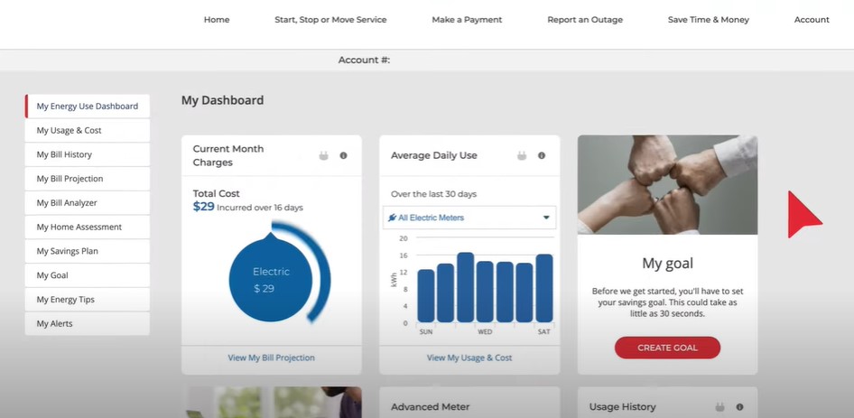 MYADVISOR DASHBOARD OFFERS CUSTOMER USAGE DATA & TIPS FOR SAVING ENERGY