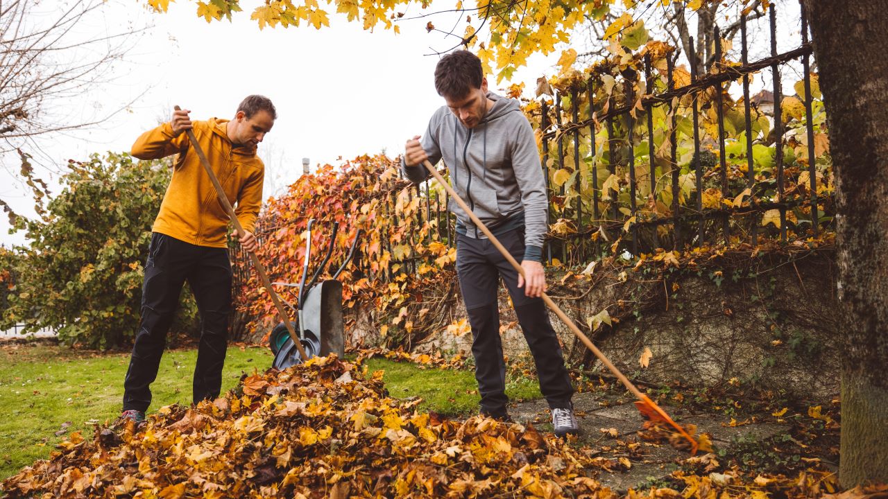 Beware of hidden dangers such as fallen power lines as you perform fall maintenance at your home.