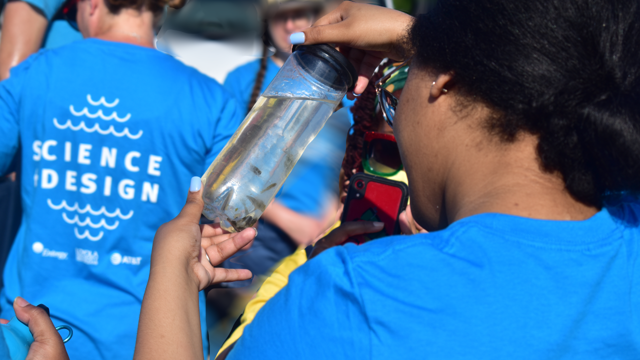 Participants learned how green and gray infrastructure can help mitigate against the impact of climate change. Participants learned how green and gray infrastructure can help mitigate against the impact of climate change.