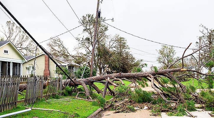 Hurricane damage