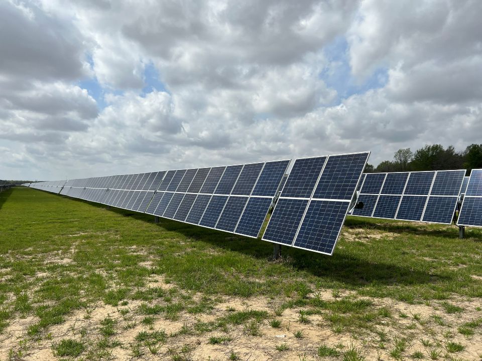 Solar panels at Entergy Mississippi's new Sunflower Solar Station in Ruleville.