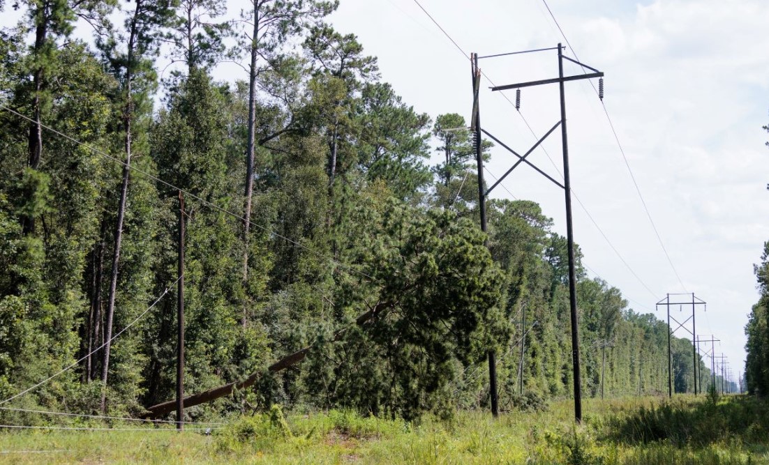 Entergy Texas actualización de tormenta – 7/11/24, 7 p.m.