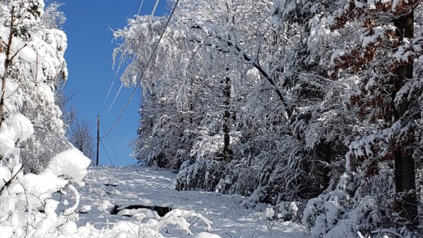 Hilly terrain covered in snow hampered restoration progress today. 