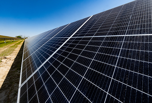 Entergy Arkansas will allow its public and private sector customers to utilize regionally-sourced nuclear and renewables, including solar, hydro, or wind through MOU with the U.S. General Services Administration. Pictured are photovoltaic panels at Searcy Solar, a 100MW facility owned by Entergy Arkansas.