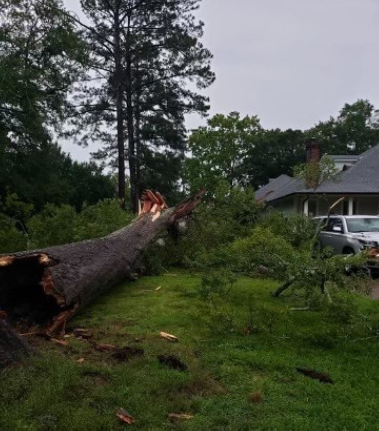 Storm damage in Warren County, Mississippi 