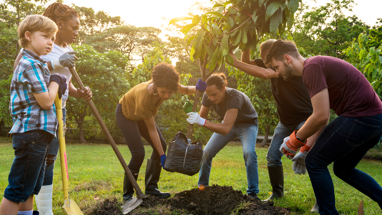 Entergy Customers Claim Free Energy Saving Trees